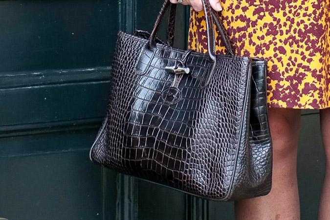 Brown bag Longchamps