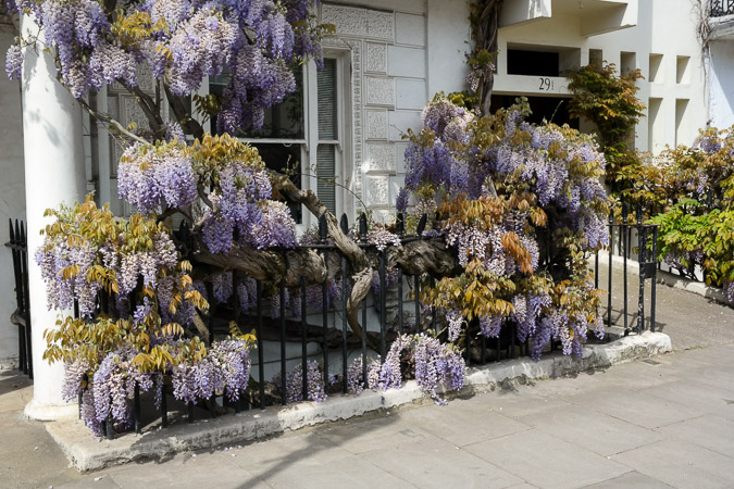 London in April