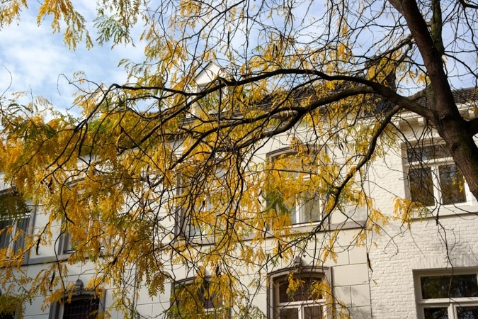 Maastricht