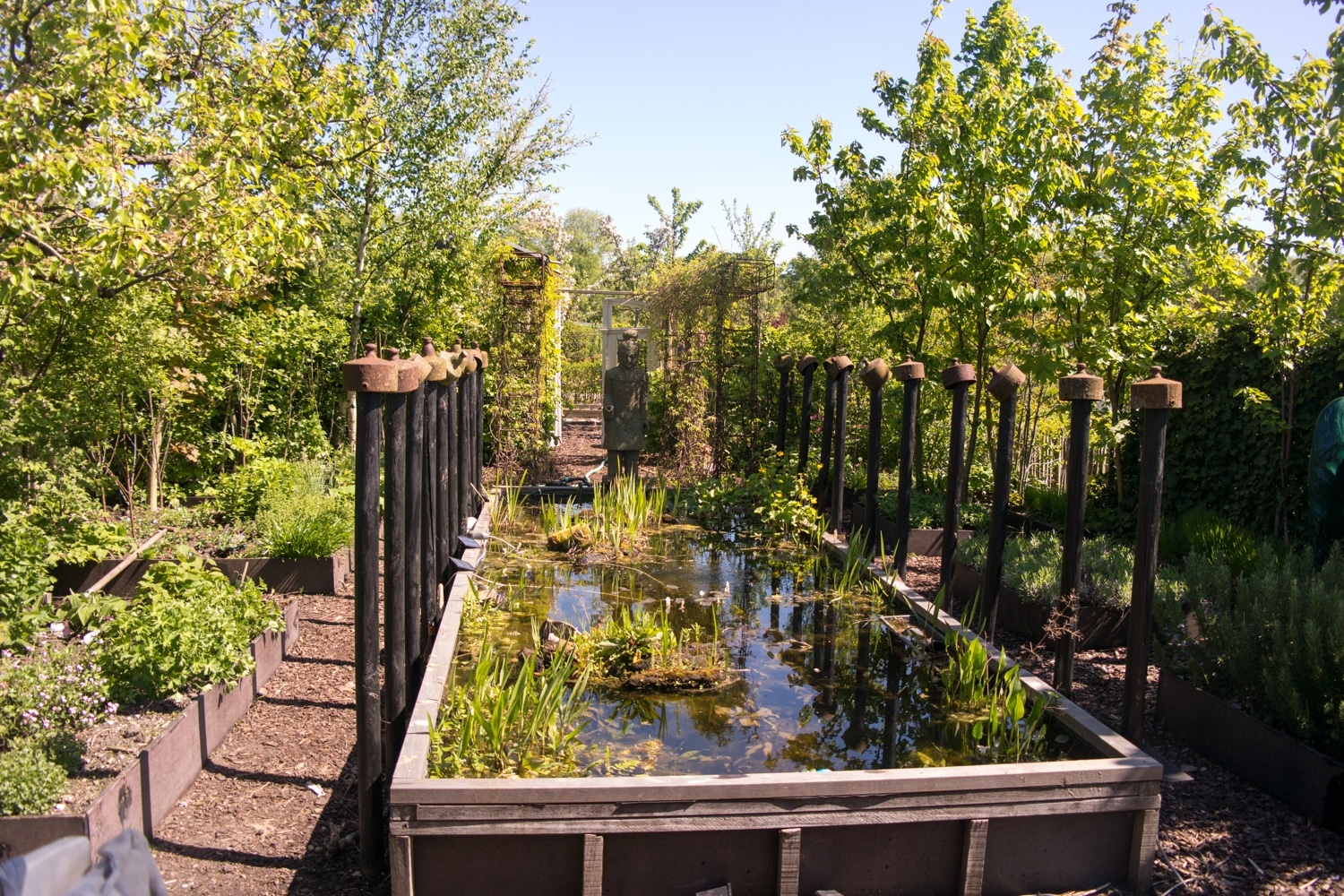 BVA friends, allotment garden and family