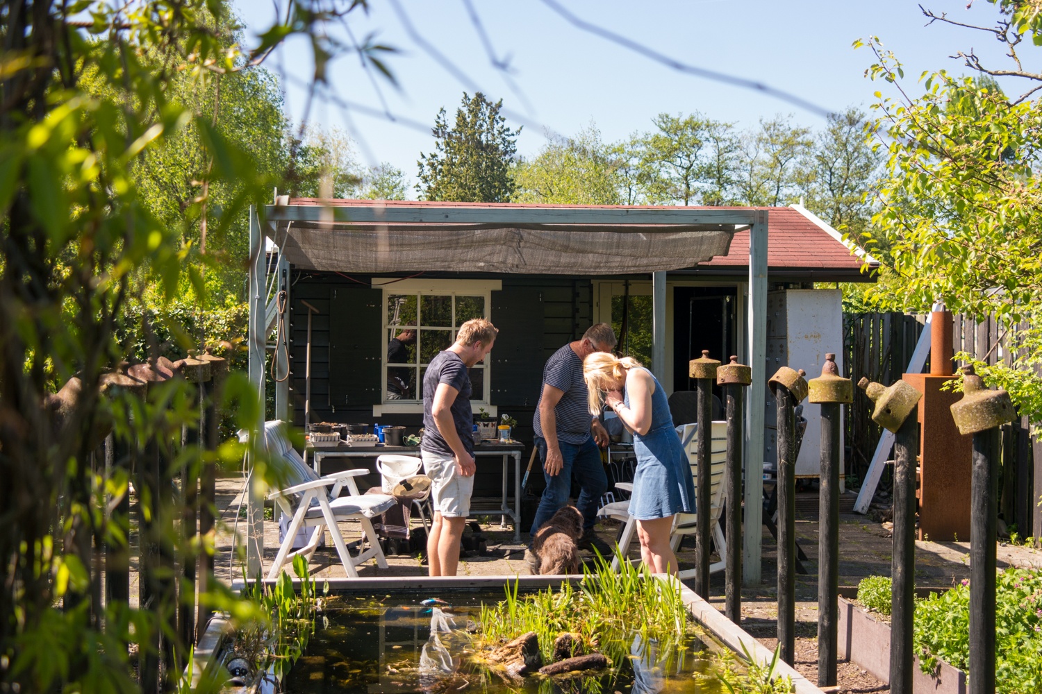 BVA friends, allotment garden and family