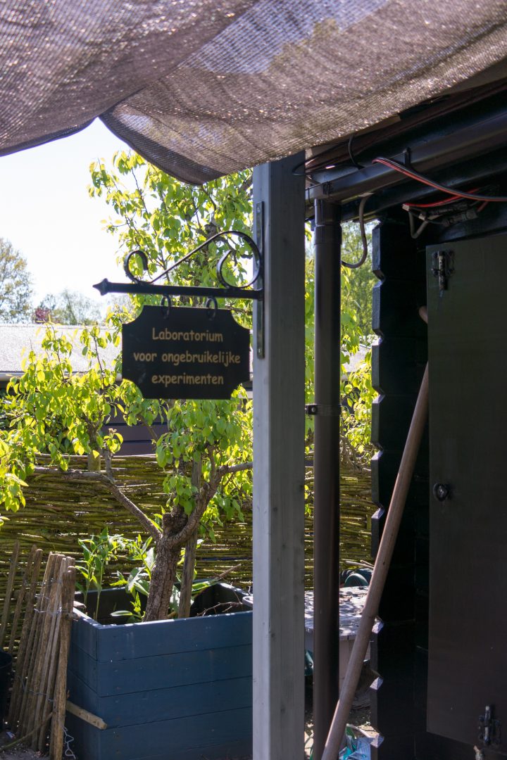 BVA friends, allotment garden and family