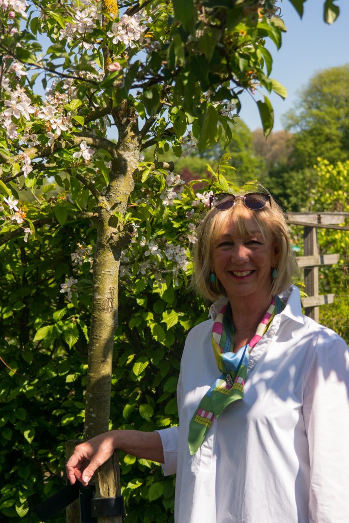 BVA friends, allotment garden and family