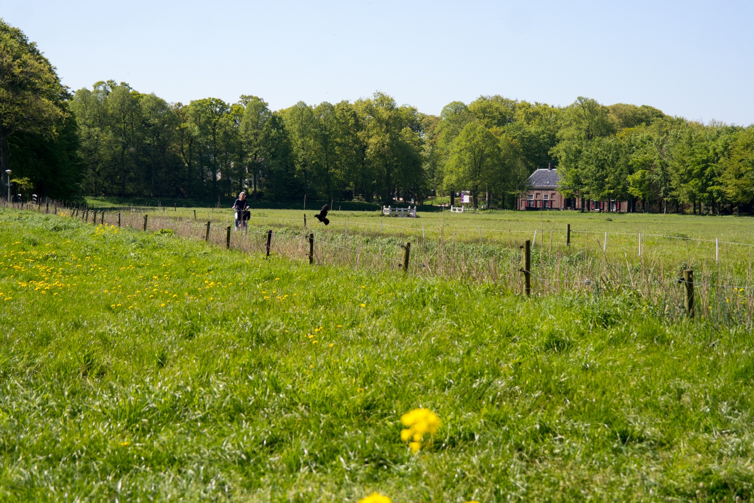View from Het Wapen van Kennemerland