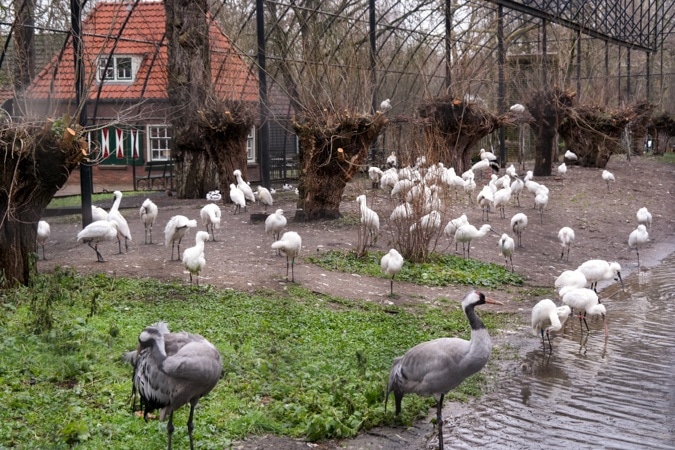 Plantage Amsterdam