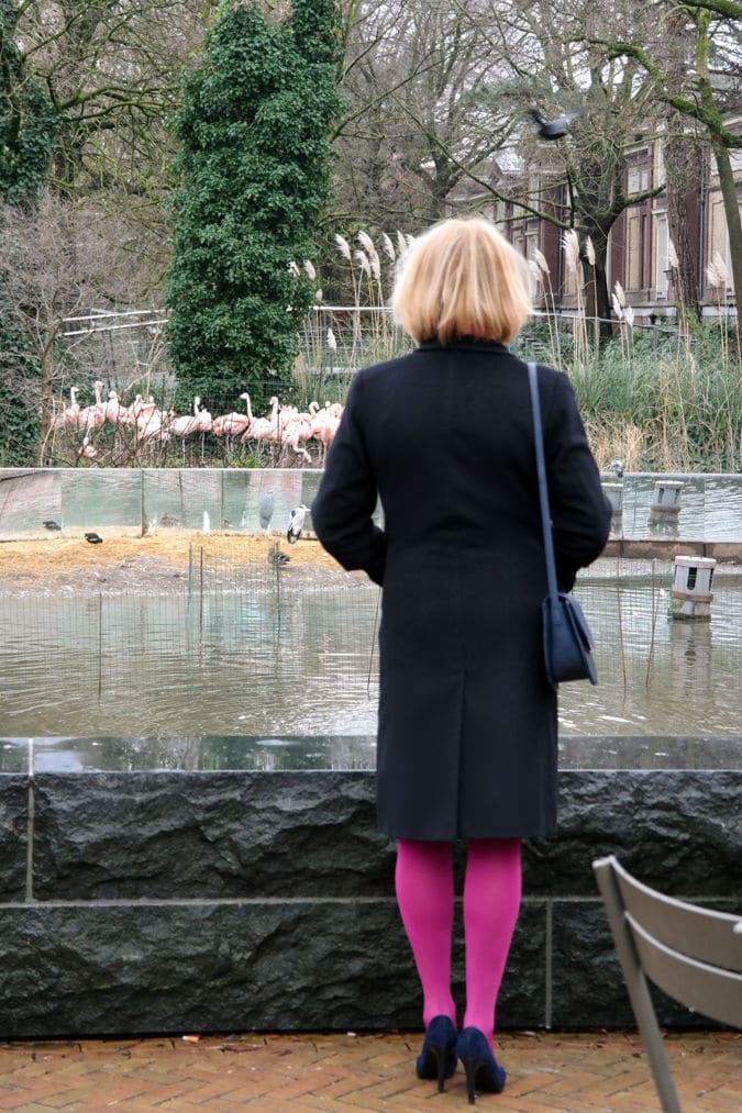 Black Max Mara coat and bright pink tights