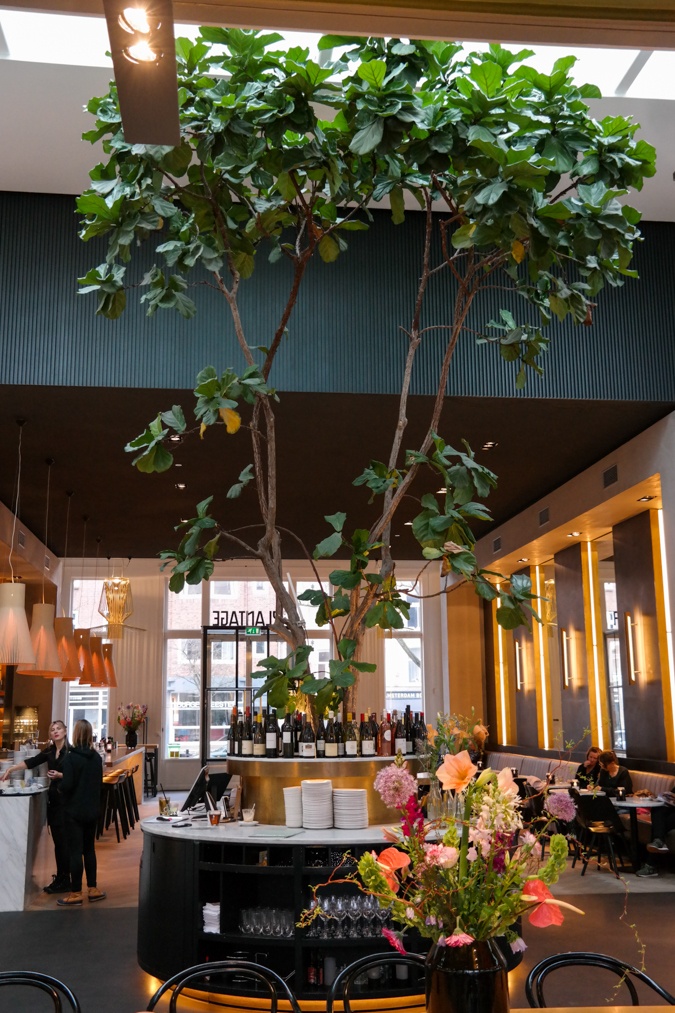 Plantage Amsterdam