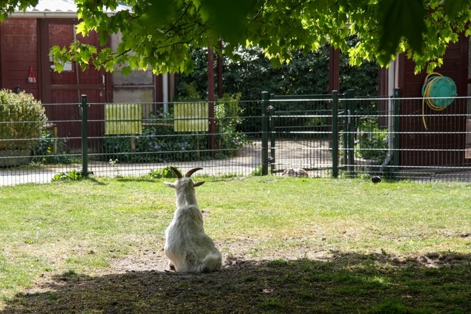 Haarlemmer Kweektuin