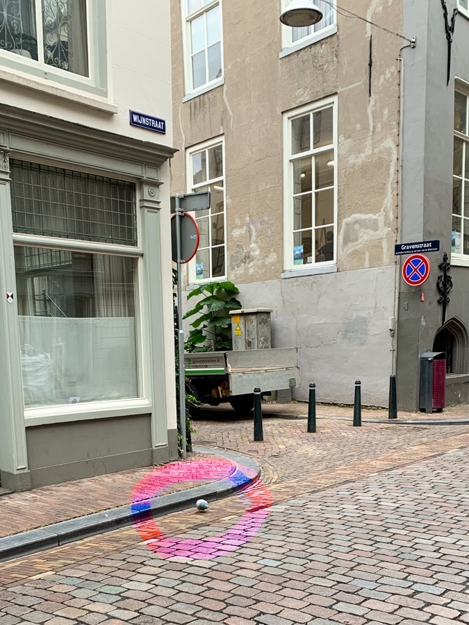 Pigeon in Dordrecht