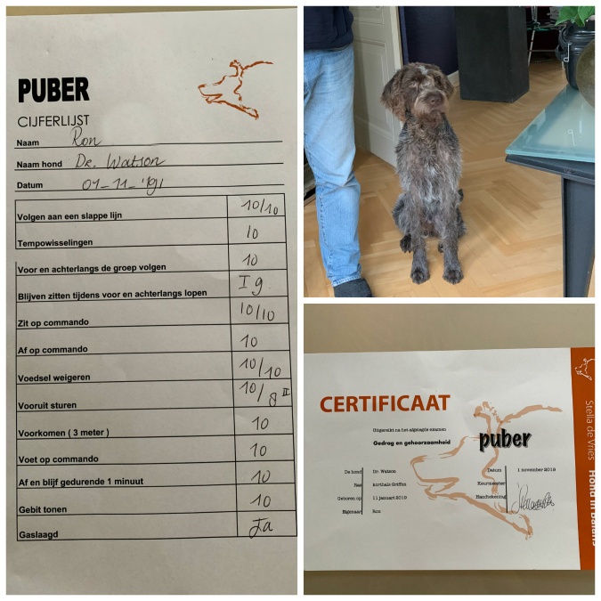 Watson diploma