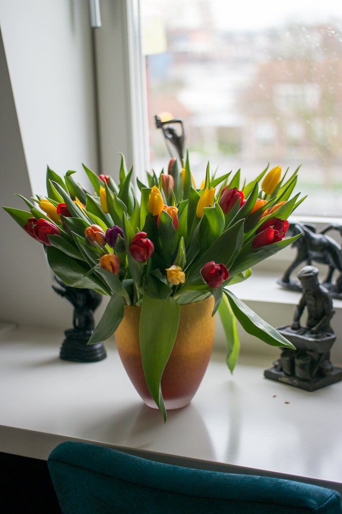 Tulips