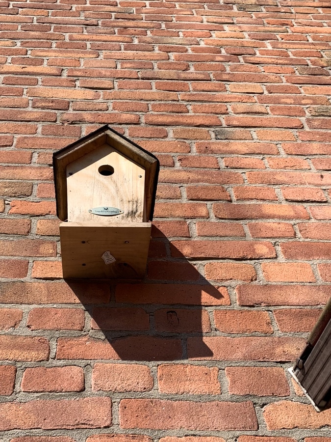 bird house great tit