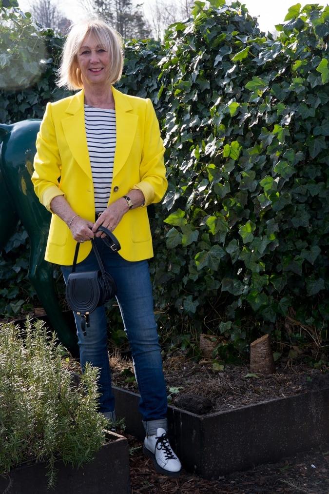 yellow jacket