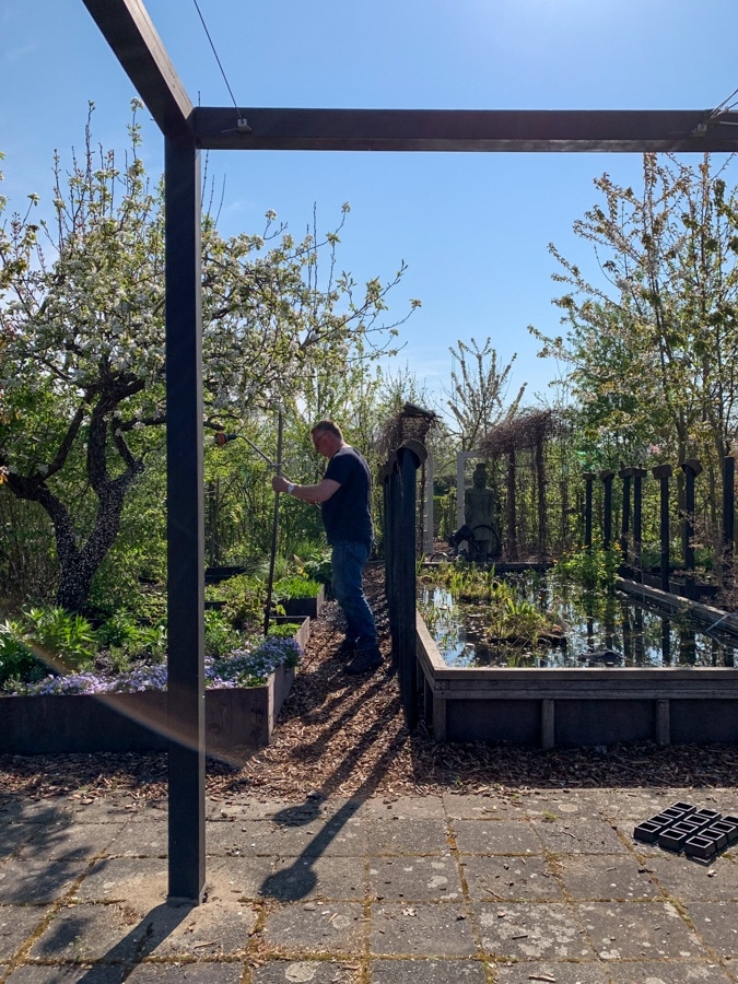 allotment garden Ron