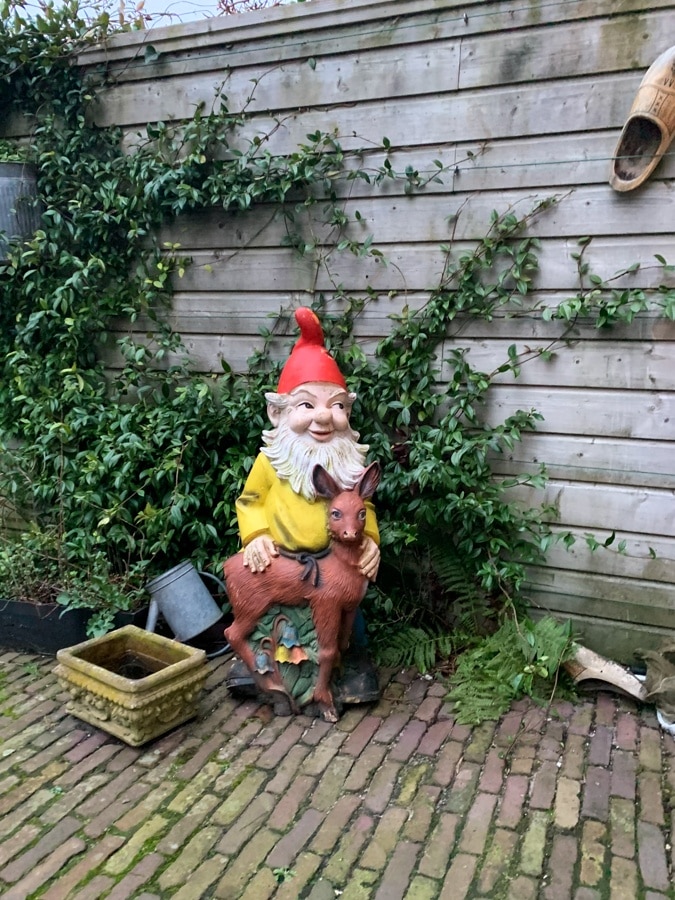 Gnome