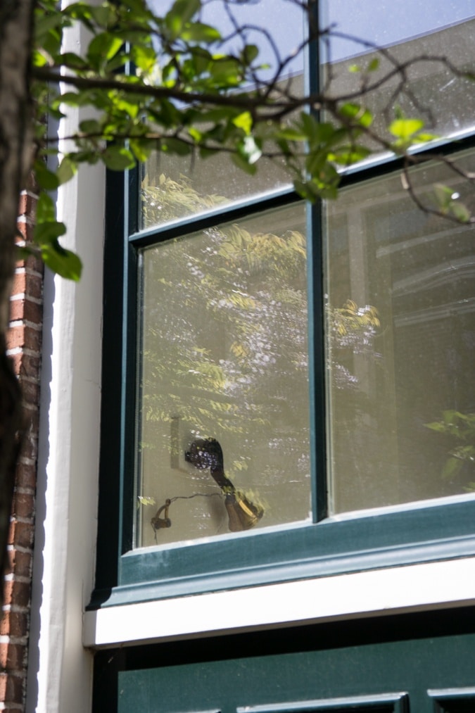 Wisteria reflected in the window