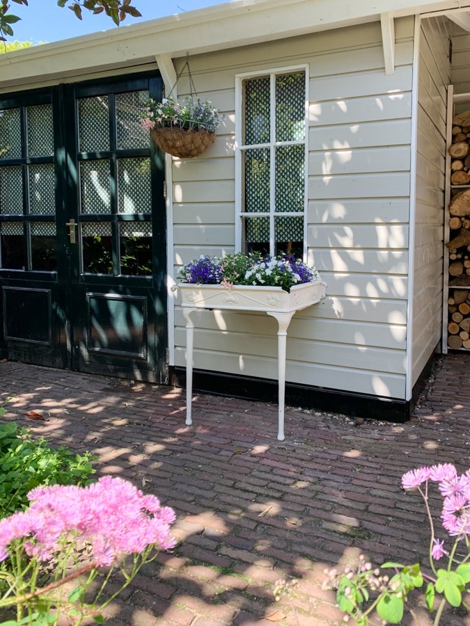 flowers at the shed