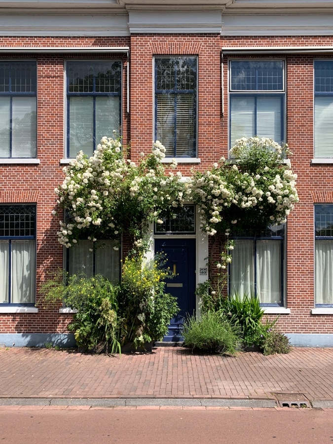 Pretty house