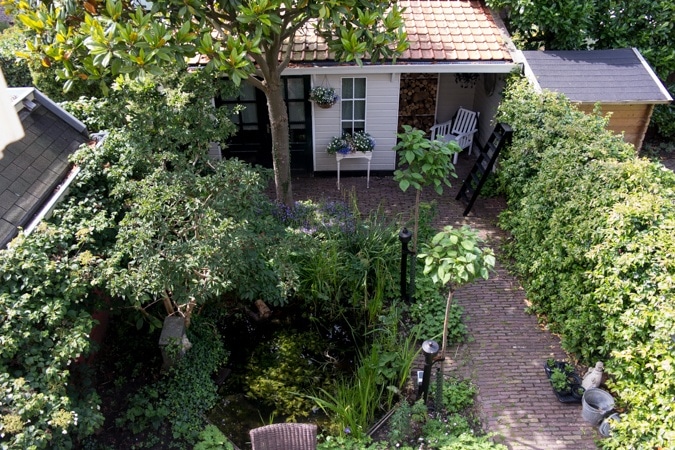 Garden in bloom