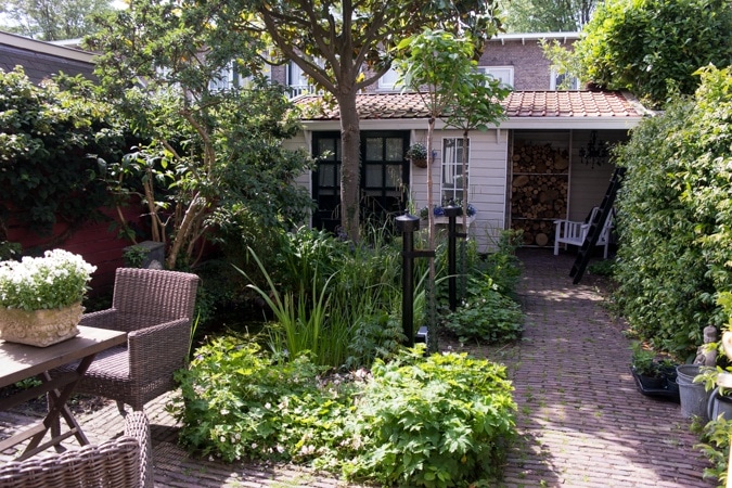 Garden in bloom
