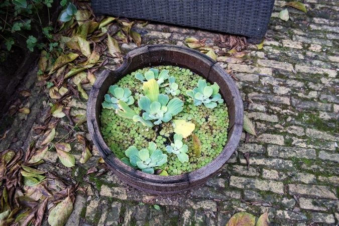 Brouwershofje, Haarlem