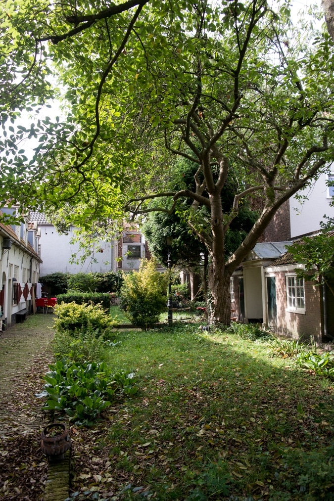 Brouwershofje, Haarlem
