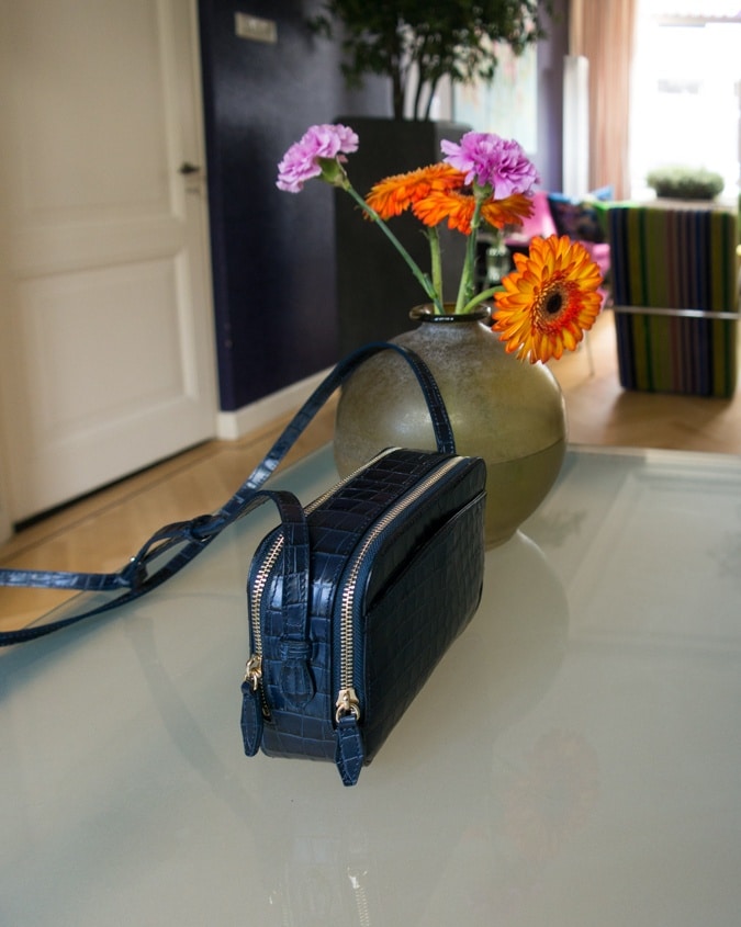Blue camera bag