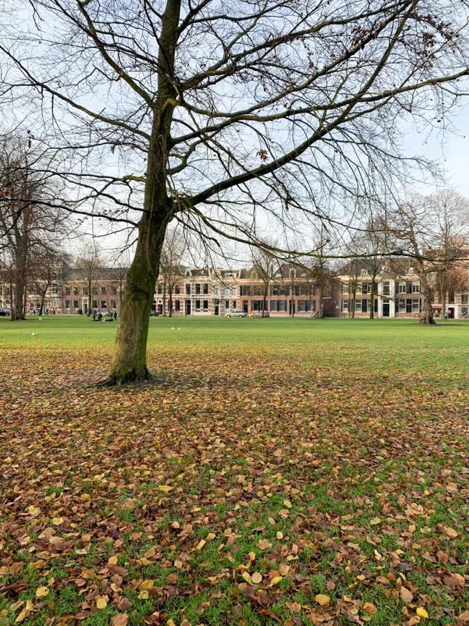 Haarlem, Florapark
