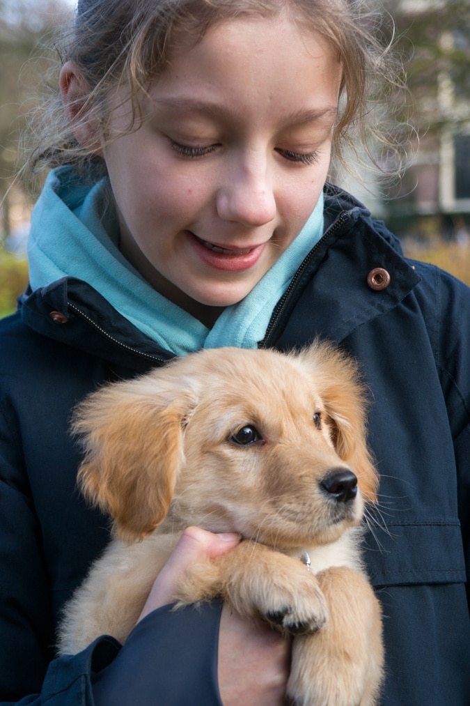 Darling doggie