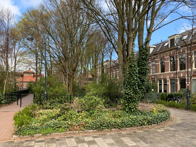 pretty square