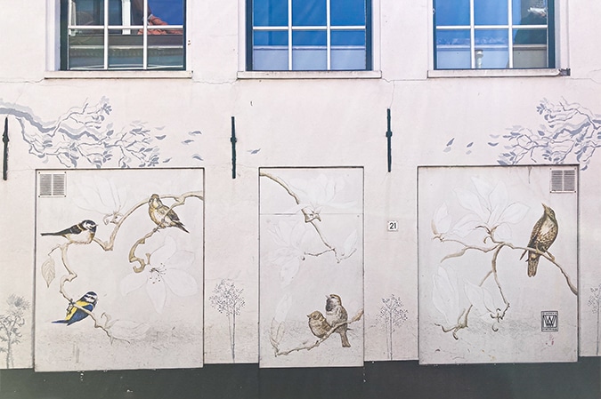 Birds mural