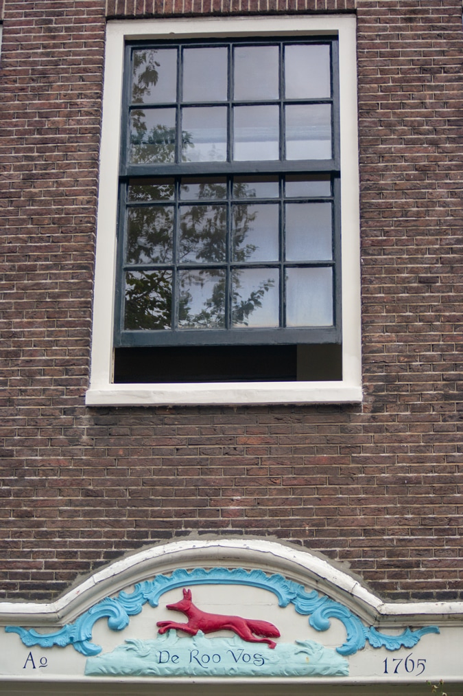 Face brick red fox