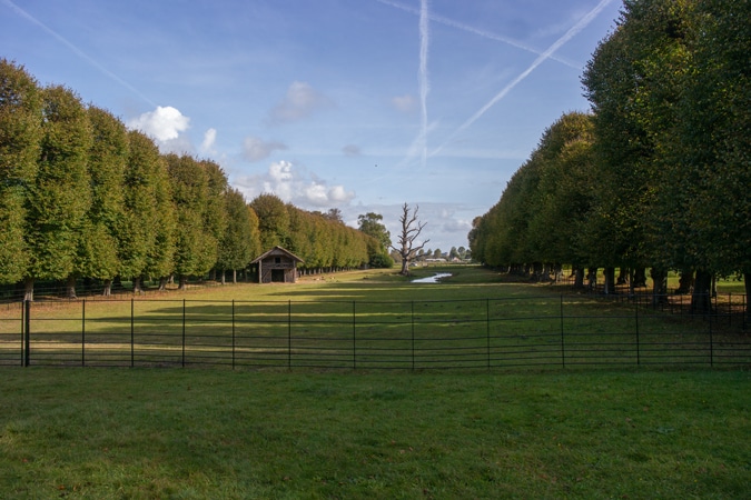 Elswout