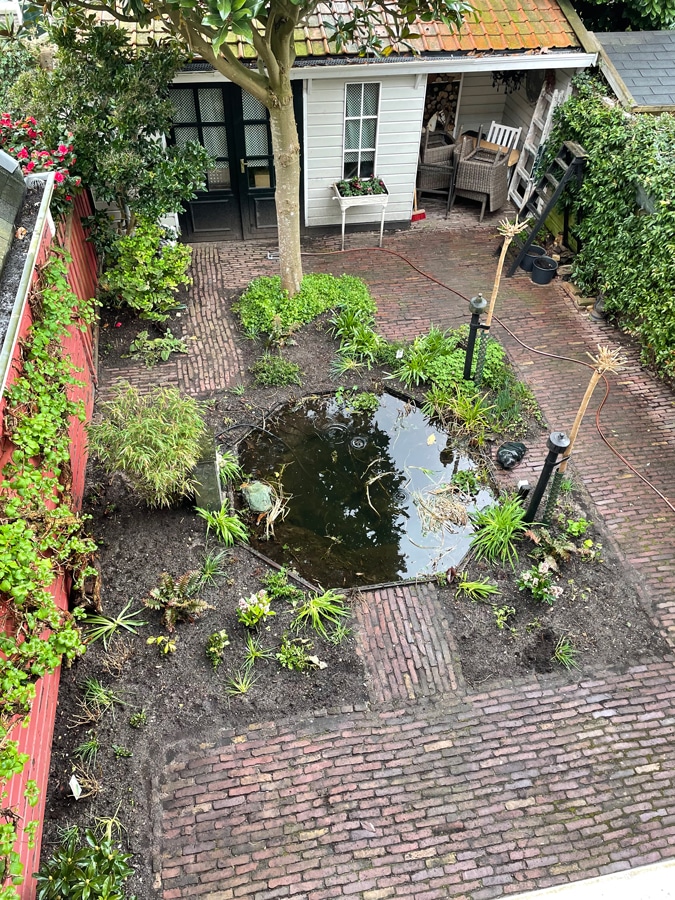 Garden
