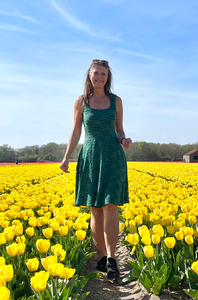 Kitty in tulip field