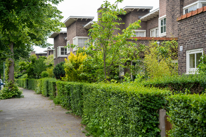 nice houses