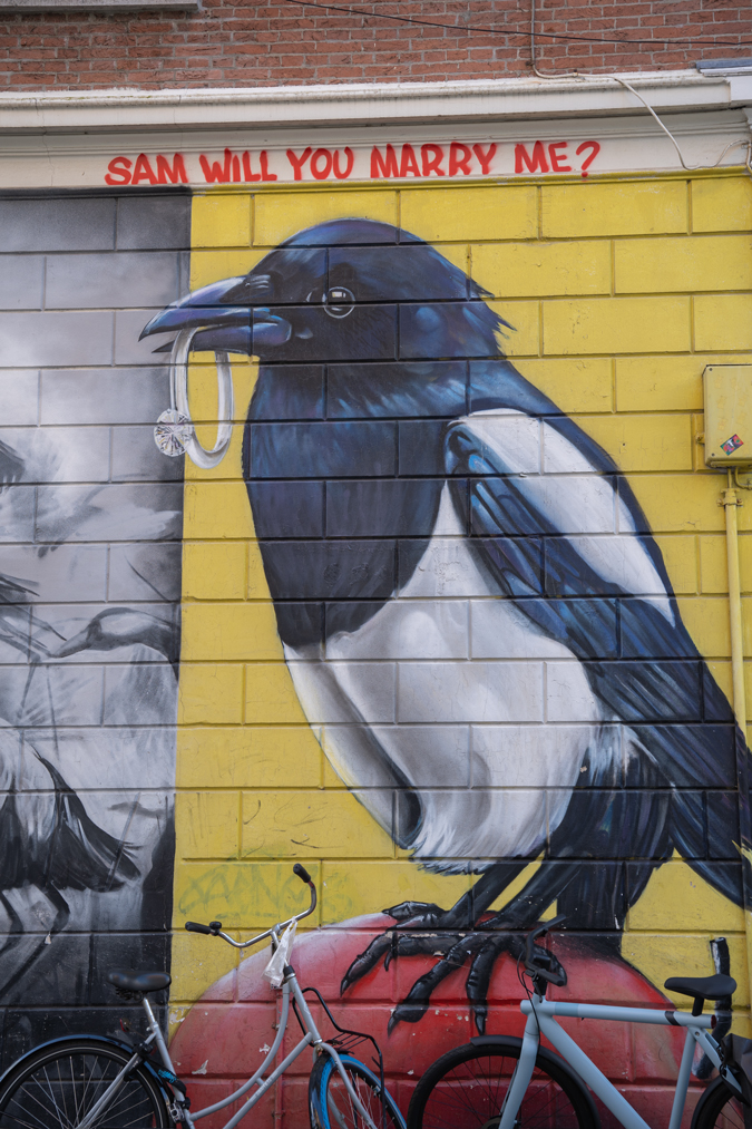 Mural in Rotterdam