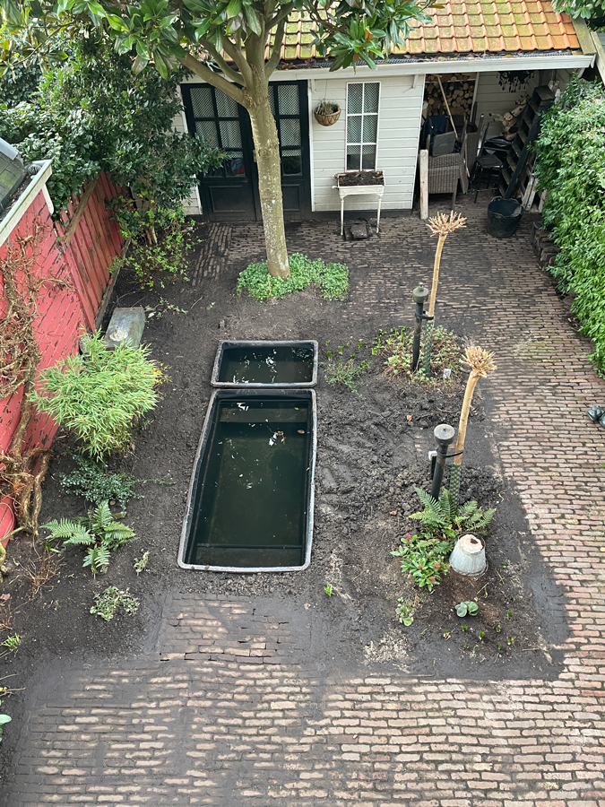 garden 2