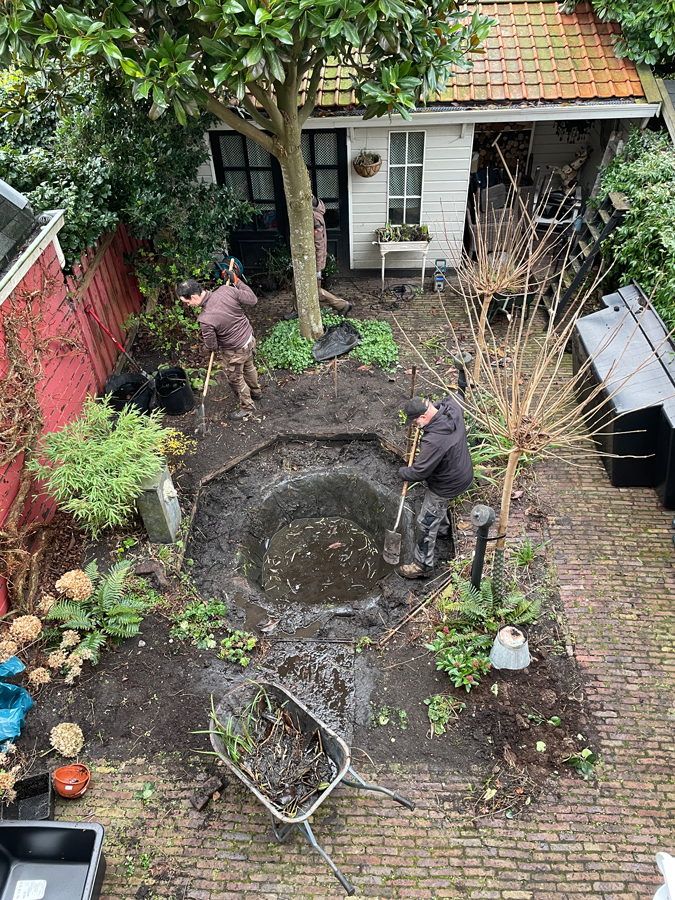 garden