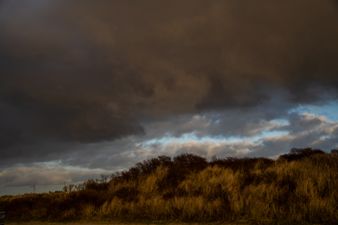 Landscape made dark