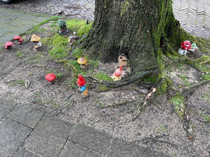Gnome village
