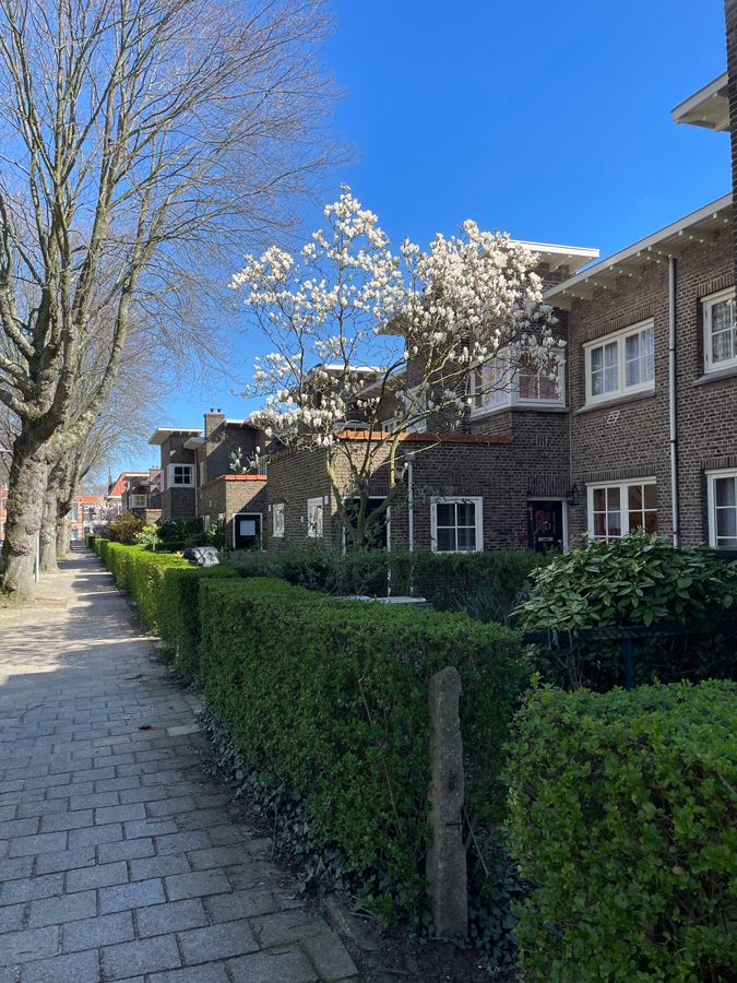 Nice neighbourhood