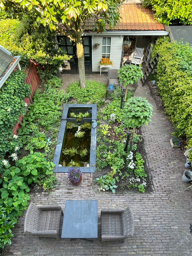 Garden 9th of June