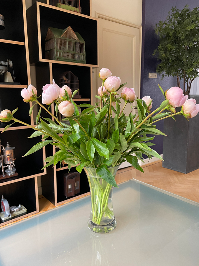 bouquet of peonies