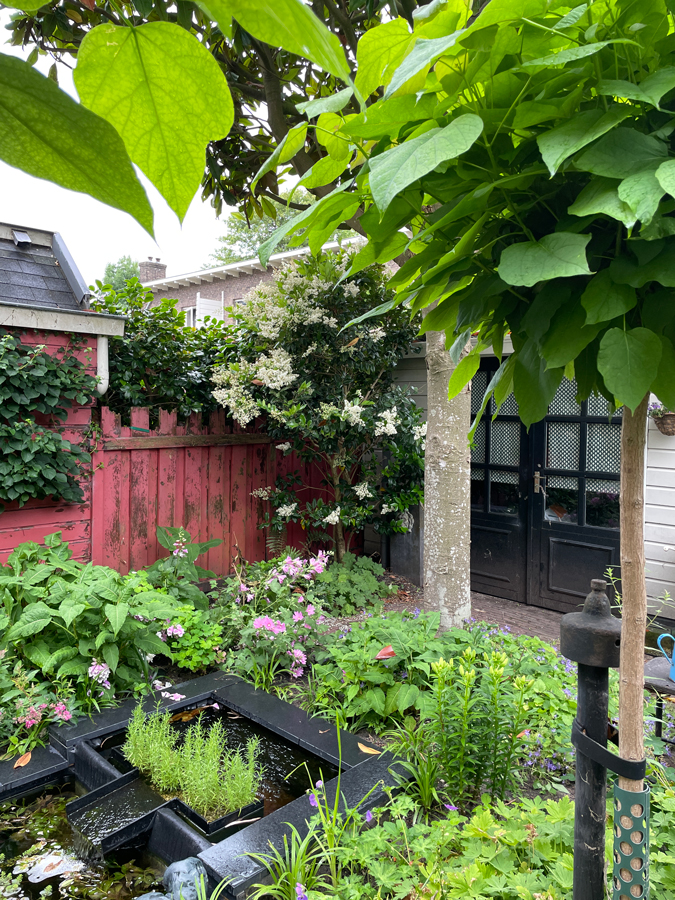 Garden