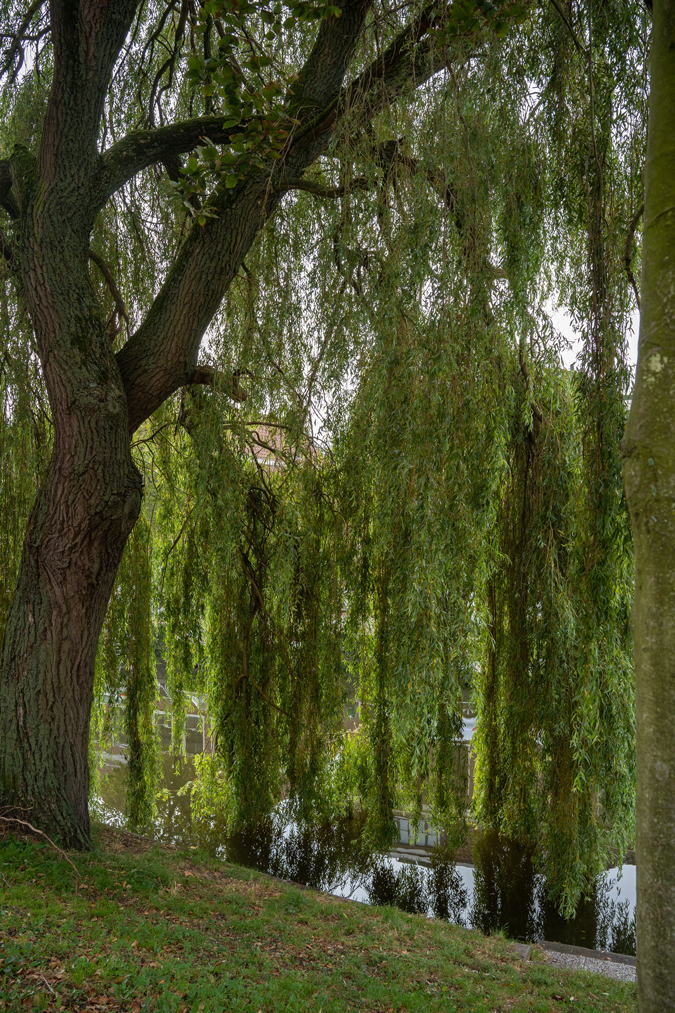 Haarlem
