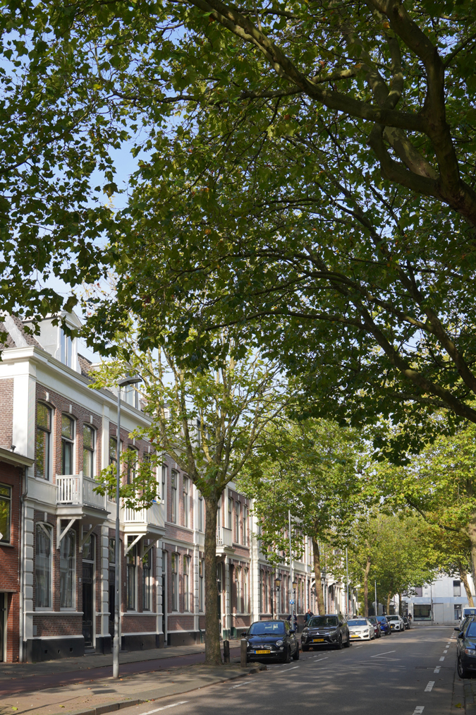 Haarlem