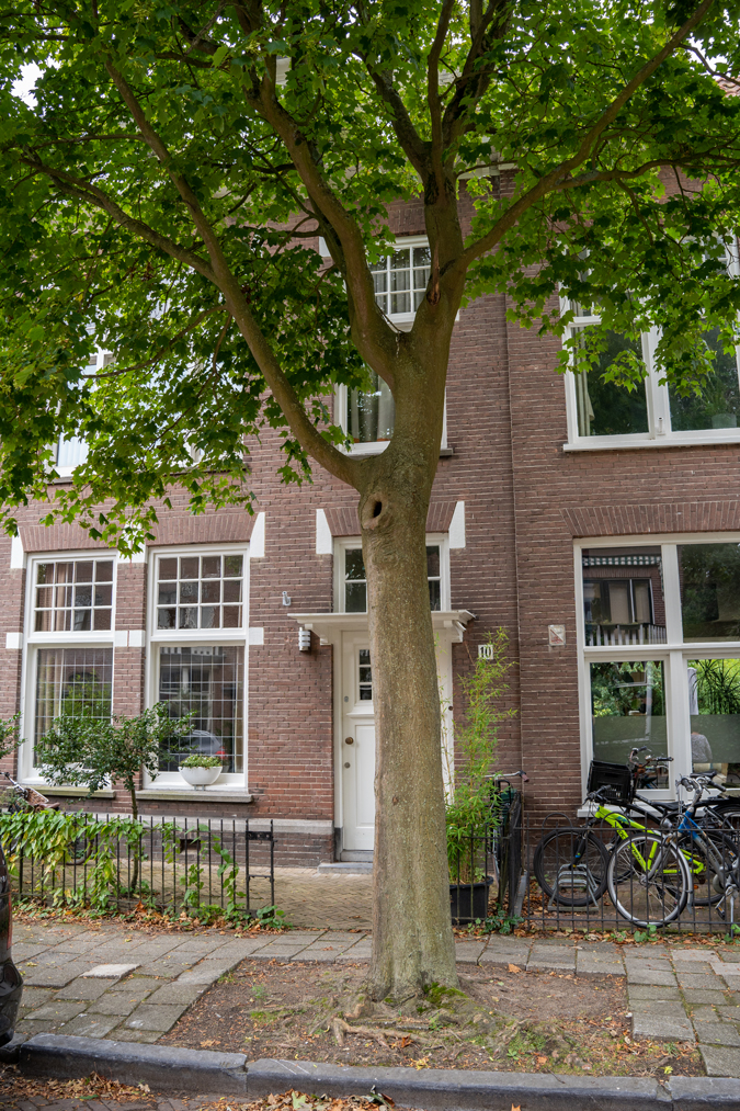 Haarlem