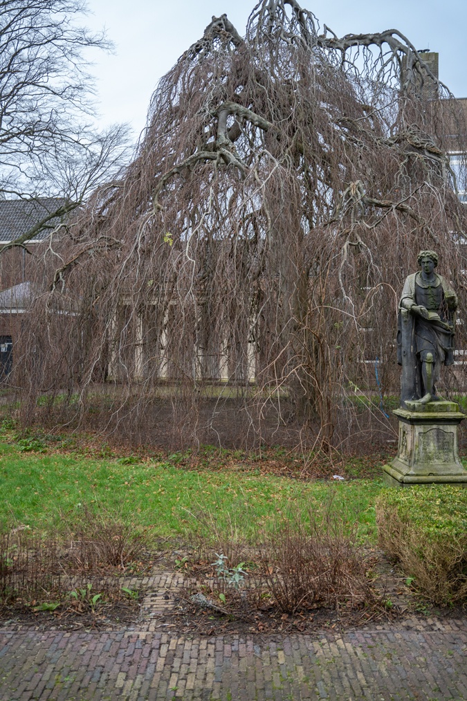 Haarlem