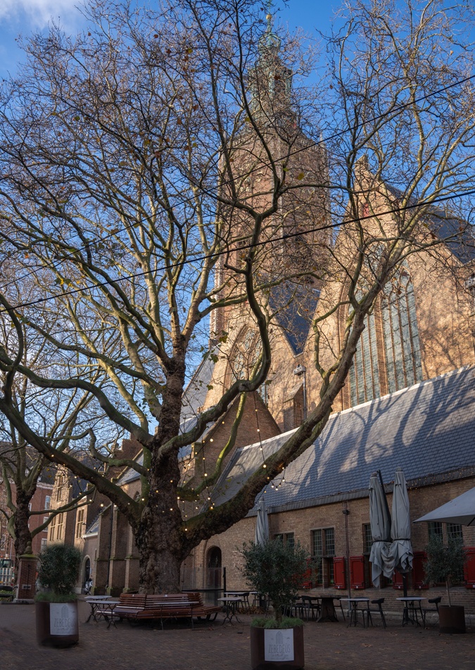 The Hague